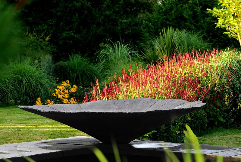 vasque au jardin contemporain et persicaria